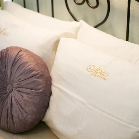 Guest house Iris 2*
