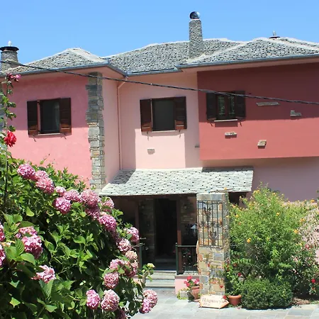 Iris Guest house 2*