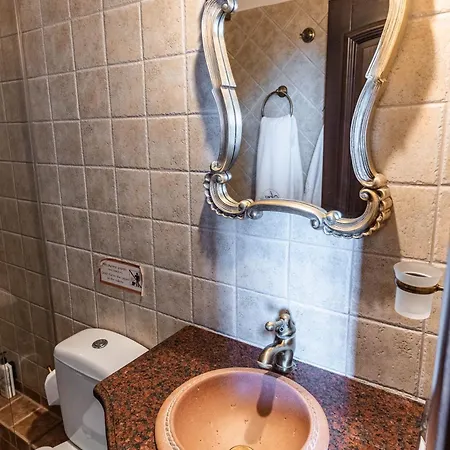 Πανσιόν ίρις