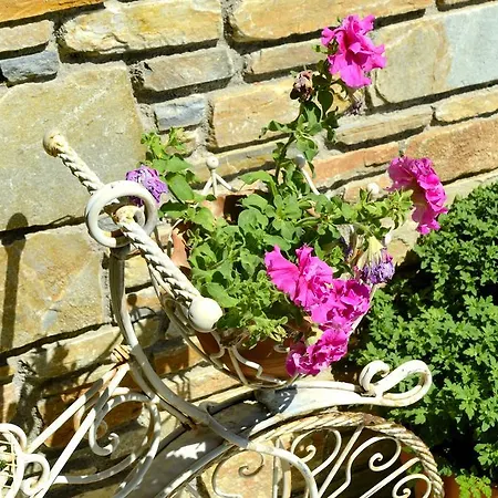 ίρις Τσαγκαράδα